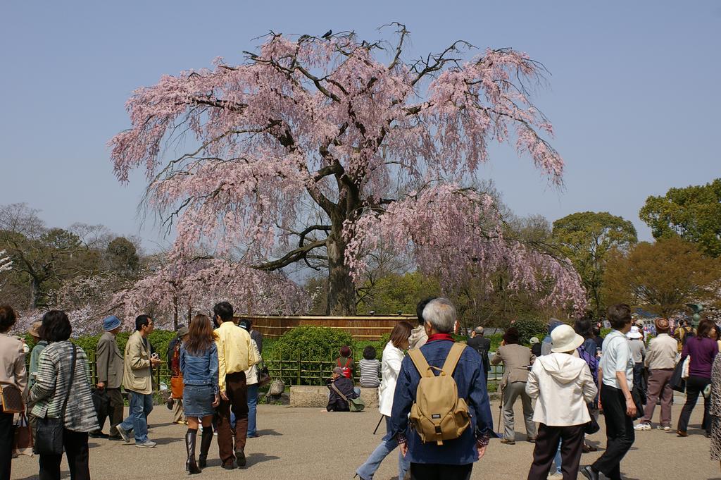 Kyoto Nene House Villa ภายนอก รูปภาพ